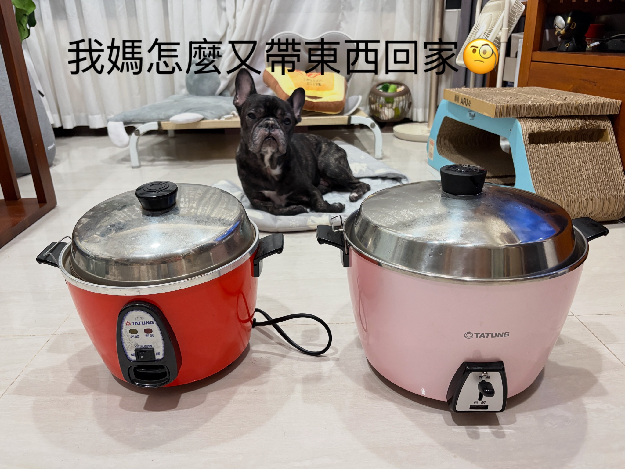 紅色小大同與粉紅色大大同電鍋的結緣故事