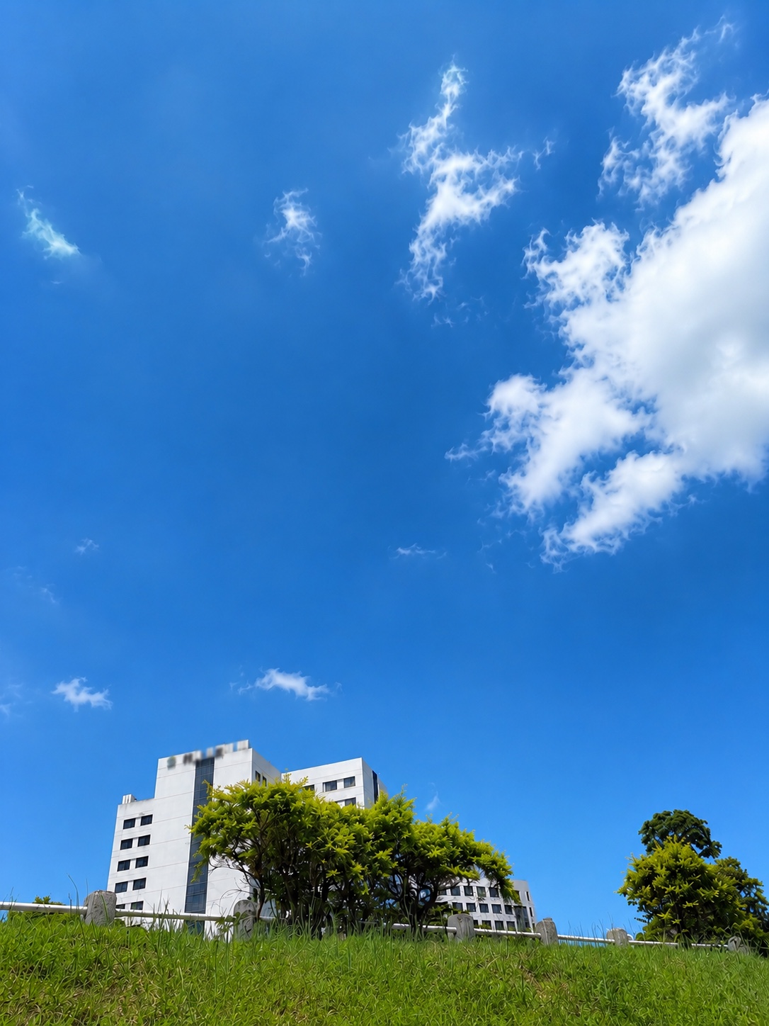 藍天下的白色建築、綠地與樹木,為尋序主理人拍攝的尋序觀點封面